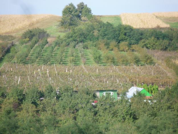 Vand casa Sat Mocani Comuna Puiesti - Pret | Preturi Vand casa Sat Mocani Comuna Puiesti