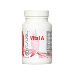 Vital A, 90 tablete - Pret | Preturi Vital A, 90 tablete