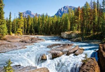 Puzzle Castorland 1500 Athabasca River, Jasper National Park - Pret | Preturi Puzzle Castorland 1500 Athabasca River, Jasper National Park