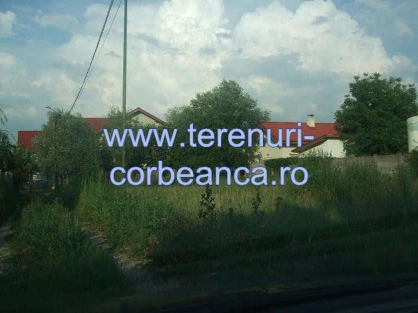 vanzare teren corbeanca - Pret | Preturi vanzare teren corbeanca