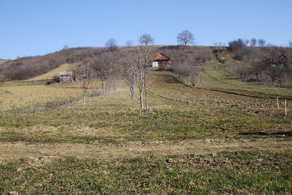 Vanzare teren Cojocna - Pret | Preturi Vanzare teren Cojocna