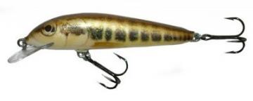 Vobler SALMO Minnow M5S M 5 gr - Pret | Preturi Vobler SALMO Minnow M5S M 5 gr