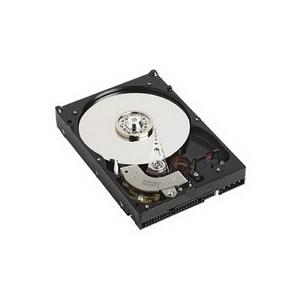 Hard Disk Hitachi ExcelStor 160GB ESJ8160CR - Pret | Preturi Hard Disk Hitachi ExcelStor 160GB ESJ8160CR