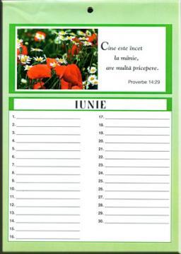 Calendar zile deosebite - Pret | Preturi Calendar zile deosebite