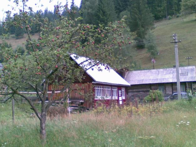 Vand Teren si casa in Iacobeni,SV - Pret | Preturi Vand Teren si casa in Iacobeni,SV