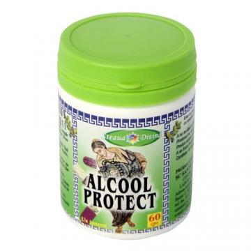 ALCOOL PROTECT 60CPS - Pret | Preturi ALCOOL PROTECT 60CPS