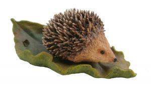 Baby Hedgehog on Leaf - Pret | Preturi Baby Hedgehog on Leaf