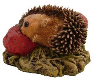 Baby Hedgehog Asleep - Pret | Preturi Baby Hedgehog Asleep