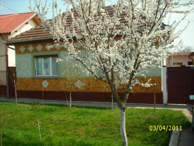 VAND CASA IN DUMBRAVITA CU 3 CAMERE - Pret | Preturi VAND CASA IN DUMBRAVITA CU 3 CAMERE