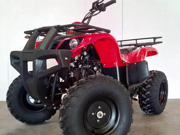 ATV Grizzly Big 150 cc - Pret | Preturi ATV Grizzly Big 150 cc