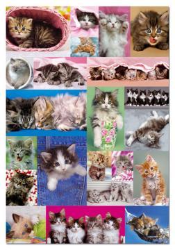 PUZZLE EDUCA 1000 KITTENS COLLAGE - Pret | Preturi PUZZLE EDUCA 1000 KITTENS COLLAGE