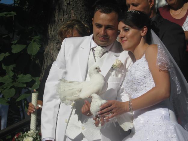 lansari porumbei albi nunti - Pret | Preturi lansari porumbei albi nunti