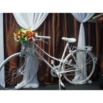 Bicicleta nunta - Pret | Preturi Bicicleta nunta