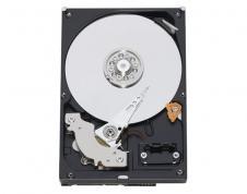 Hard Disk WD 250GB SATA3, 7200rpm, 16MB, WD2500AAKX - Pret | Preturi Hard Disk WD 250GB SATA3, 7200rpm, 16MB, WD2500AAKX