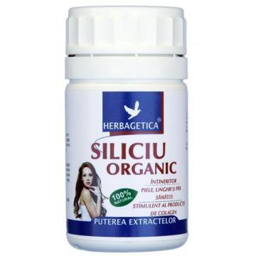 Siliciu Organic *40cps - Pret | Preturi Siliciu Organic *40cps