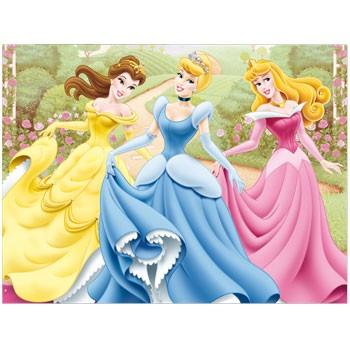 Disney Princess FairyTale: Fata de masa din plastic 120 x 180 cm - Pret | Preturi Disney Princess FairyTale: Fata de masa din plastic 120 x 180 cm