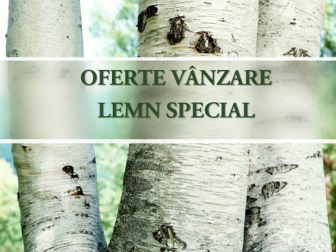 Vanzare lemn special - Pret | Preturi Vanzare lemn special