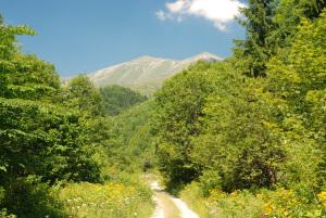 Vand teren 1500mp Cheile Butii - Valea Marii - Paraul Lazarului - Pret | Preturi Vand teren 1500mp Cheile Butii - Valea Marii - Paraul Lazarului