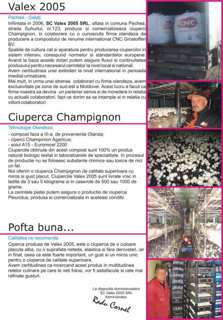 PRODUCATOR COMERCIALIZEZ CIUPERCI - Pret | Preturi PRODUCATOR COMERCIALIZEZ CIUPERCI