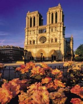 Puzzle Clementoni 500 Notre Dame - Pret | Preturi Puzzle Clementoni 500 Notre Dame