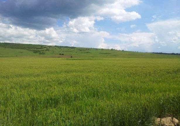 Teren agricol Giurgiu, Clejani - Pret | Preturi Teren agricol Giurgiu, Clejani