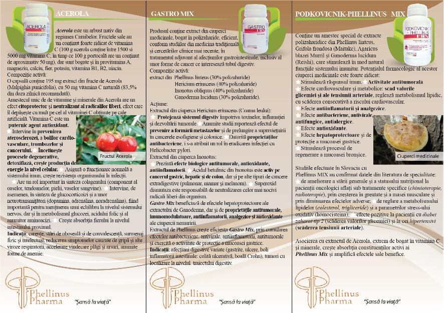 Ciuperci Medicinale-impotriva cancerului Podkovicnic Phellinus Mix - Pret | Preturi Ciuperci Medicinale-impotriva cancerului Podkovicnic Phellinus Mix