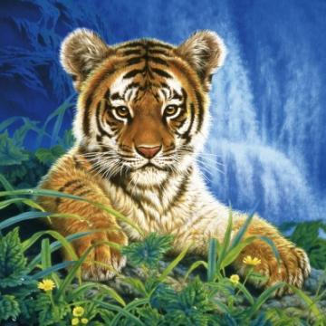 Puzzle Schmidt 1000 Joh Naito : Small Tiger - Pret | Preturi Puzzle Schmidt 1000 Joh Naito : Small Tiger