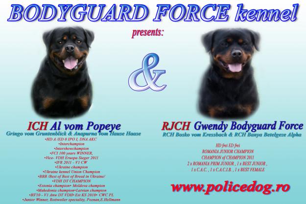Canisa Bodyguard Force va ofera cateii rottweiler - Pret | Preturi Canisa Bodyguard Force va ofera cateii rottweiler