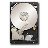 Hard disk Seagate Server Constellation ES 7200rpm, 1TB, 64MB, SATA 3 - Pret | Preturi Hard disk Seagate Server Constellation ES 7200rpm, 1TB, 64MB, SATA 3