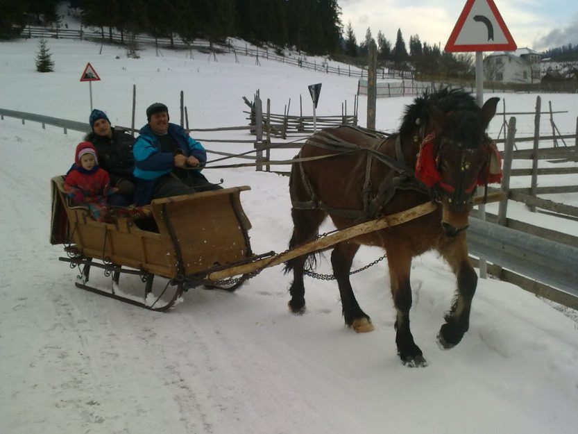 mînză de un an și jumatate - Pret | Preturi mînză de un an și jumatate