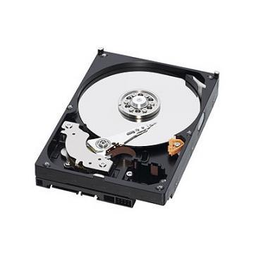 Hard Disk Western Digital 750 GB RE2 Green Power, Serial ATA2, - Pret | Preturi Hard Disk Western Digital 750 GB RE2 Green Power, Serial ATA2,