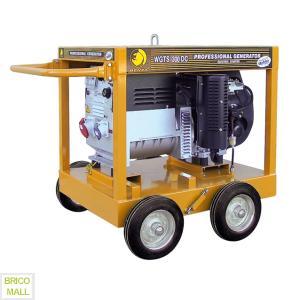 Generator de sudura Benza WGTS 300 DC - Pret | Preturi Generator de sudura Benza WGTS 300 DC