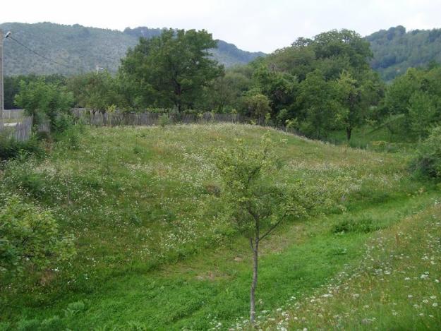 Teren intravilan Baia de Fier - Pret | Preturi Teren intravilan Baia de Fier