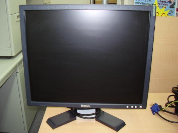 VAND MONITOR DELL E196FPb 19