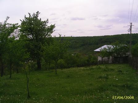 Vand teren Valcanesti Prahova - Pret | Preturi Vand teren Valcanesti Prahova