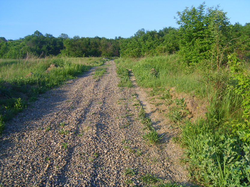 vand o gradina ,cel mai frumos loc de casa la lebada,botosani - Pret | Preturi vand o gradina ,cel mai frumos loc de casa la lebada,botosani