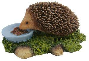 Hedgehog Eating - Pret | Preturi Hedgehog Eating