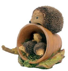 Hedgehog Family - Pret | Preturi Hedgehog Family