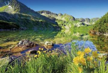 Puzzle Trefl 1500 Marea Pond, Tatry - Pret | Preturi Puzzle Trefl 1500 Marea Pond, Tatry