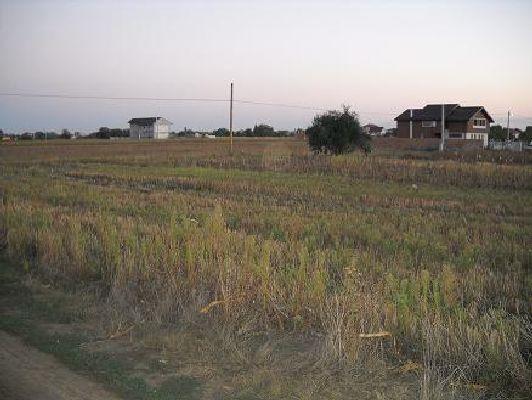 Teren in Comuna Berceni - Pret | Preturi Teren in Comuna Berceni