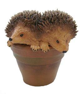 Hedgehogs in Flowerpot - Pret | Preturi Hedgehogs in Flowerpot