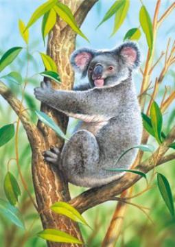 Puzzle Castorland 24 mini Koala - Pret | Preturi Puzzle Castorland 24 mini Koala