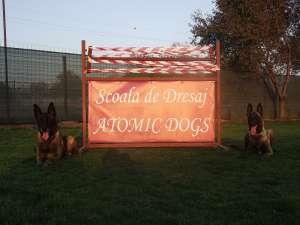 ﻿﻿﻿﻿Scoala de dresaj canin Atomic Dogs Rm.Valcea - Pret | Preturi ﻿﻿﻿﻿Scoala de dresaj canin Atomic Dogs Rm.Valcea