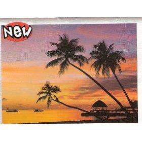 Puzzle Clementoni 2000 Maldive la rasarit - Pret | Preturi Puzzle Clementoni 2000 Maldive la rasarit