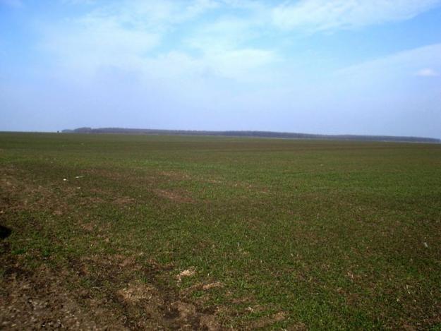 Teren agricol 100 hectare in judet Dolj - Pret | Preturi Teren agricol 100 hectare in judet Dolj