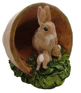 Rabbits in Flowerpot - Pret | Preturi Rabbits in Flowerpot