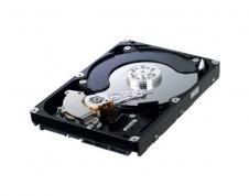 Hard Disk Samsung 750GB SATA2, 7200rpm, 32MB, HD754JJ - Pret | Preturi Hard Disk Samsung 750GB SATA2, 7200rpm, 32MB, HD754JJ