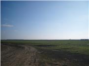 Vand teren agricol 35 ha, dambovita - Pret | Preturi Vand teren agricol 35 ha, dambovita