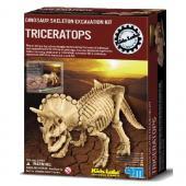 Set Arheologic Triceratops - Pret | Preturi Set Arheologic Triceratops