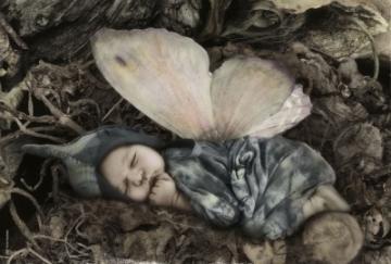 Puzzle Schmidt 500 Anne Geddes : Sleeping Fairy - Pret | Preturi Puzzle Schmidt 500 Anne Geddes : Sleeping Fairy